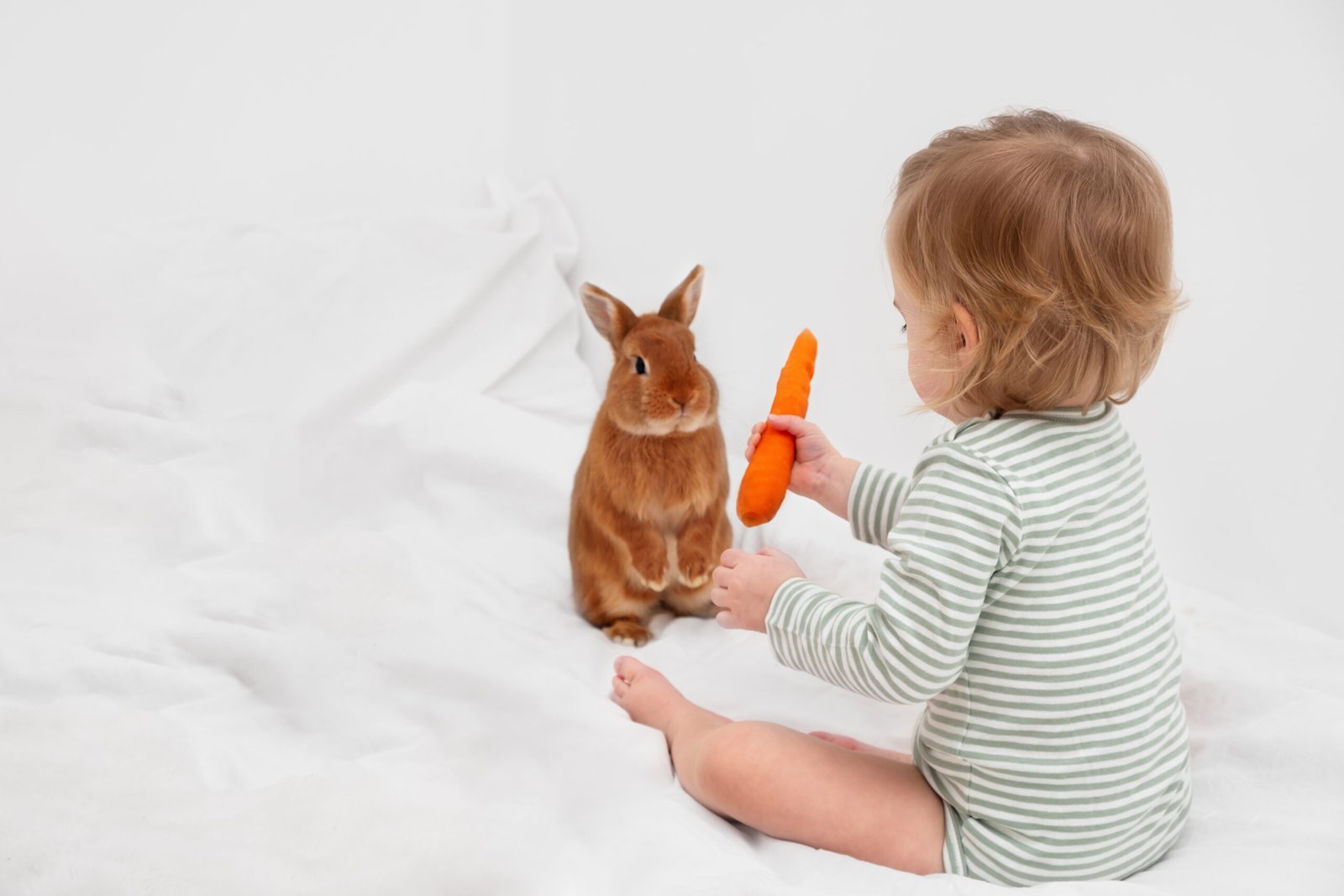 A young child in striped pajamas offering a carrot to a curious brown rabbit, creating a sweet and gentle moment of connection with nature.