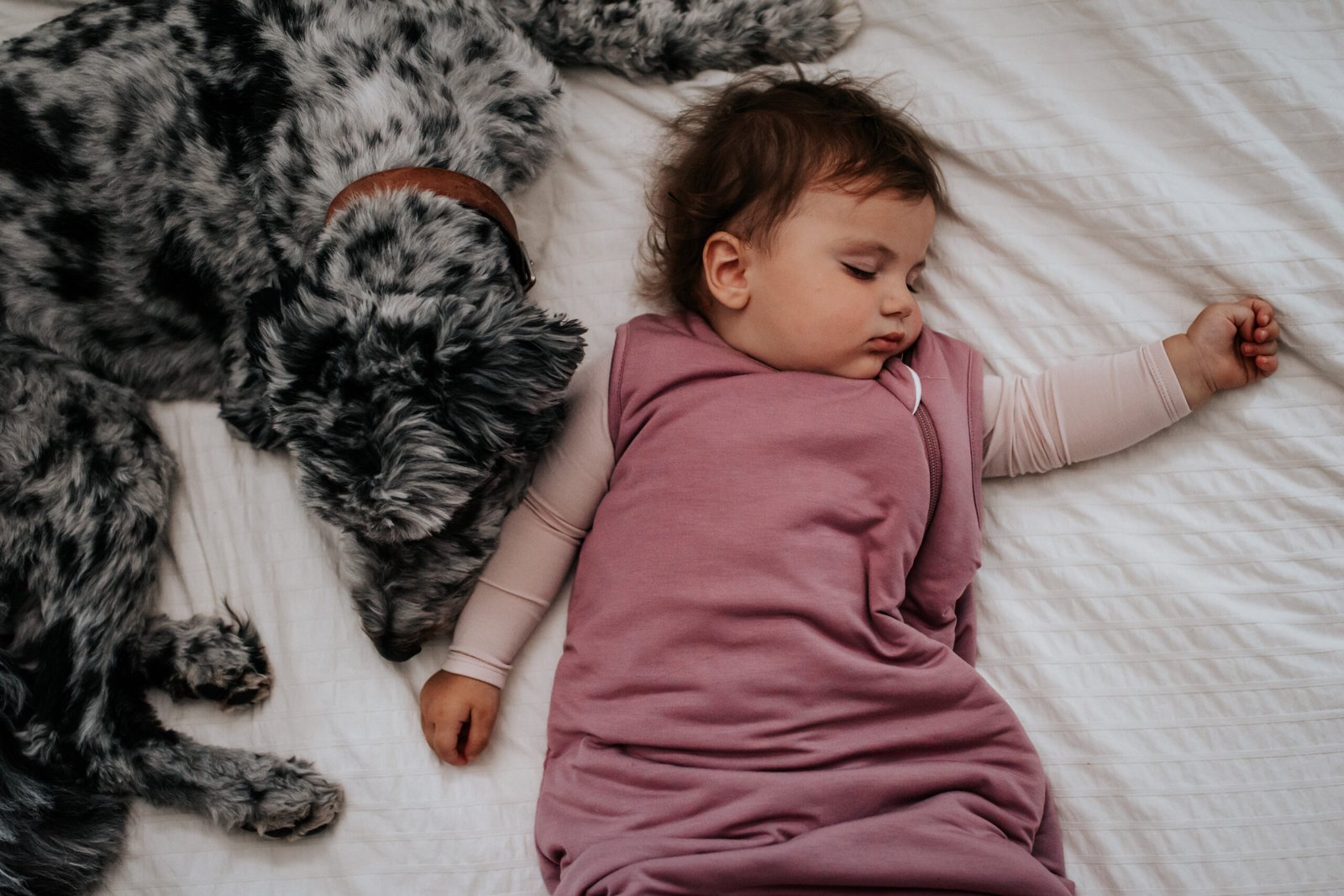 Baby girl sleeping next to a dog wearing a pink sleep sack.